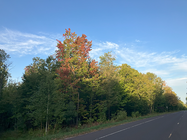 Upper Peninsula Fall Colors, Michigan 2024 Week 8